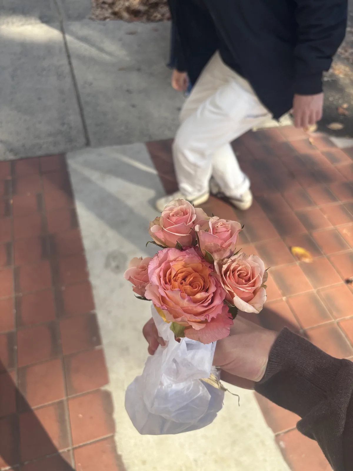 the flowers